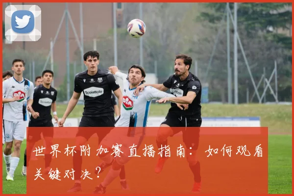 世界杯附加赛直播指南：如何观看关键对决？