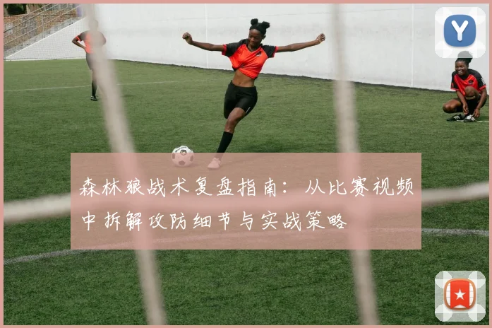 森林狼战术复盘指南：从比赛视频中拆解攻防细节与实战策略